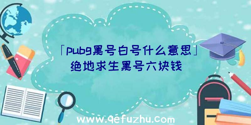 「pubg黑号白号什么意思」|绝地求生黑号六块钱